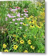 Garden Of Wildflowers In Moraine Hills Sp Metal Print