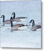 Geese On Pond Metal Print