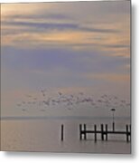 Geese Over The Chesapeake Metal Print