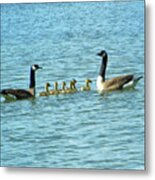 Geese Proud Parents Metal Print