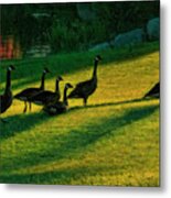 Geese The Perfect Pattern Metal Print
