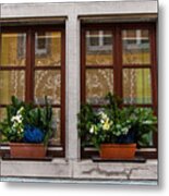 German Window Metal Print