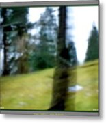 Ghost Behind Tree Metal Print