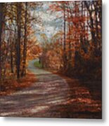 Gibson Ridge Road Metal Print