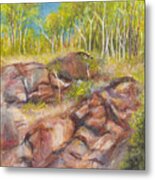 Gillies Range Rocks In Far North Queensland Metal Print