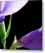 Gladiolas Metal Print