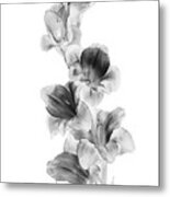Gladiolus On White Metal Print