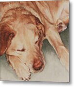 Gladys The Dog Metal Print