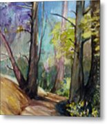 Glen Park Path Metal Print