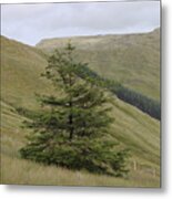 Glengesh 4382 Metal Print