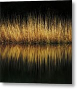 Glow And Reflections At Lakes Edge Metal Print