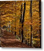 Golden Autumn Metal Print