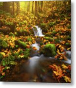 Golden Creek Cascade Metal Print