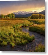 Golden Field In Heber Valley. Metal Print