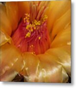 Golden Flower 1 Metal Print