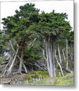 Golden Gate Sentinels Metal Print