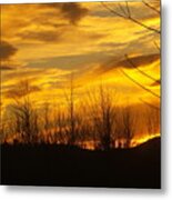 Golden Hills Metal Print