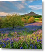 Golden Hour At Roseberry Topping Metal Print