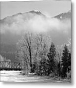 Golden In Black And White Metal Print