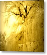 Golden Metal Print