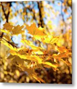 Golden Leaves Metal Print