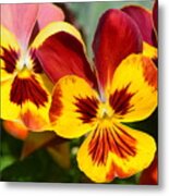 Golden Pansies Metal Print