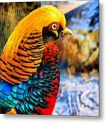 Golden Pheasant Painterly Metal Print