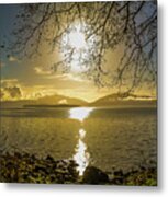 Golden Sunset Metal Print