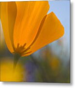 Golden Treasure Metal Print