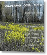 Goldenrod By Definition Kentucky Metal Print