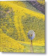 Goldfields And Windmill At Carrizo Plain Metal Print