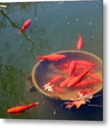 Goldfish Bowl Metal Print