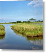 Gordons Pond - Cape Henlopen Park - Delaware Metal Print