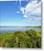 Gordons Pond Overlook - Cape Henlopen State Park - Delaware Metal Print