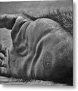 Gorilla Foot Metal Print