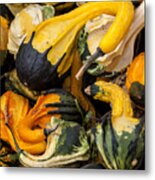Gourds Of Color Metal Print