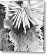 Grace In An Orchid Metal Print