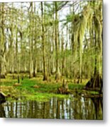 Grand Bayou Swamp Metal Print