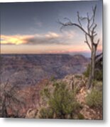 Grand Canyon 991 Metal Print