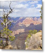Grand Canyon View Metal Print