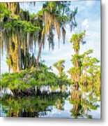 Grand Cypress Metal Print