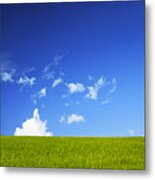 Grass Cloud Sky Metal Print