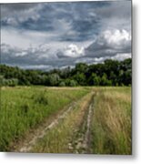 Gravel Road Through Scenic Landscape In A National Park In Austria Metal Print