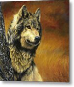 Gray Wolf Metal Print
