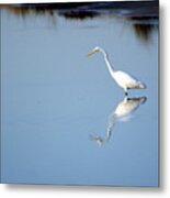 Great Blue 2 Metal Print