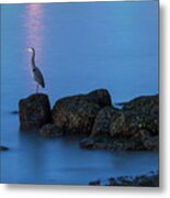 Great Blue Heron At English Bay Metal Print