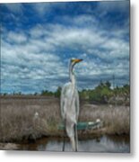 Great Egret Metal Print