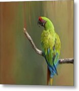 Great Green Macaw Metal Print