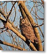 Great Horned Owl At The Aurora Metal Print