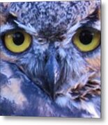 Great Horned Owl Macro Metal Print